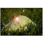 Üveg szűrőtöltet 0,5-1mm szemcseméret- 25kg