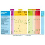 Brillant Pool Maxi-Kombi Klór "P" (200 gr), 95%,1 kg, klórtabletta