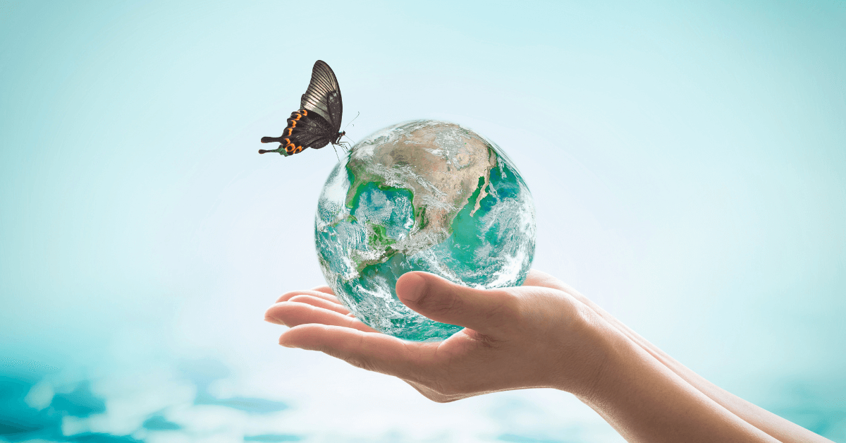 Föld világnapja - Hogyan csökkenthetjük a műanyaghulladékot?